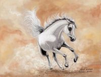 Wild Dancer